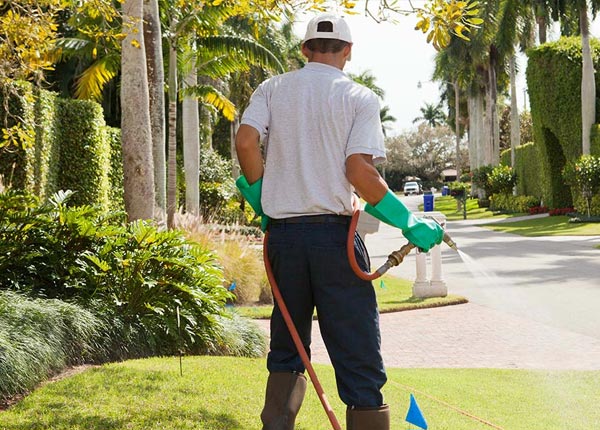About Superior AZ Pest Control Pros